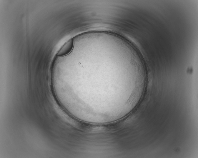 X0000113131467200909251227