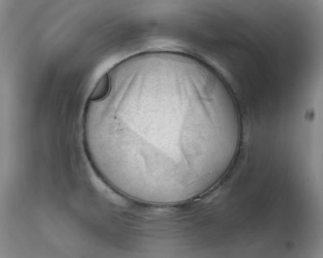 X0000113131471200909251227