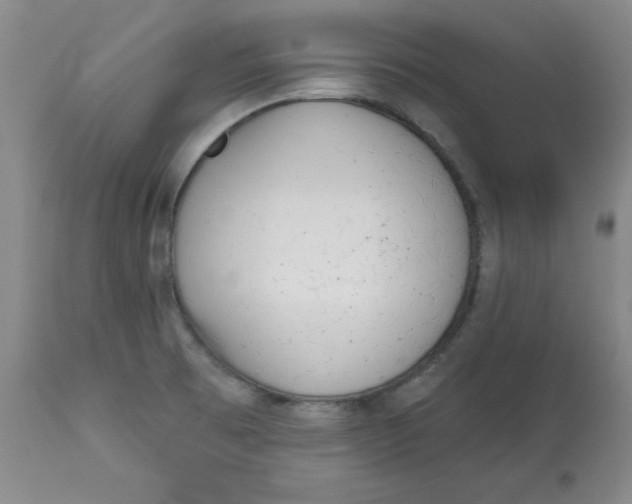 X0000113131473200909251227