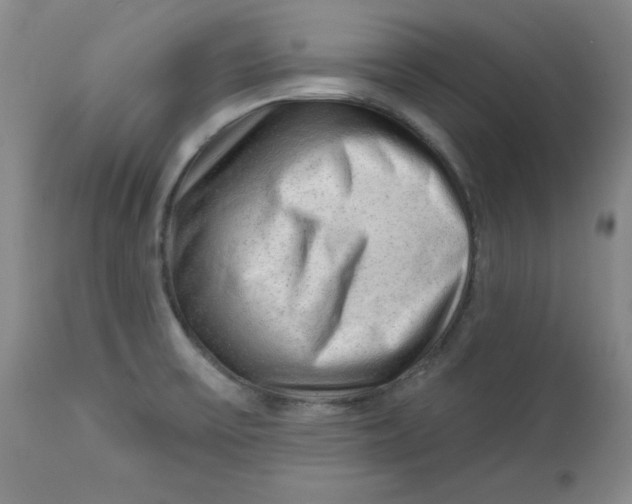 X0000113131475200909251227