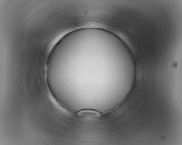 X0000113131476200909251227