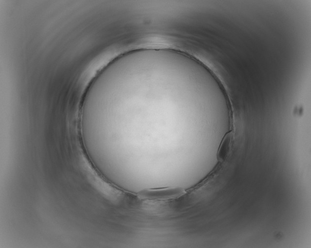 X0000113131477200909251227