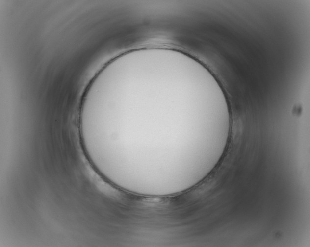 X0000113131478200909251227