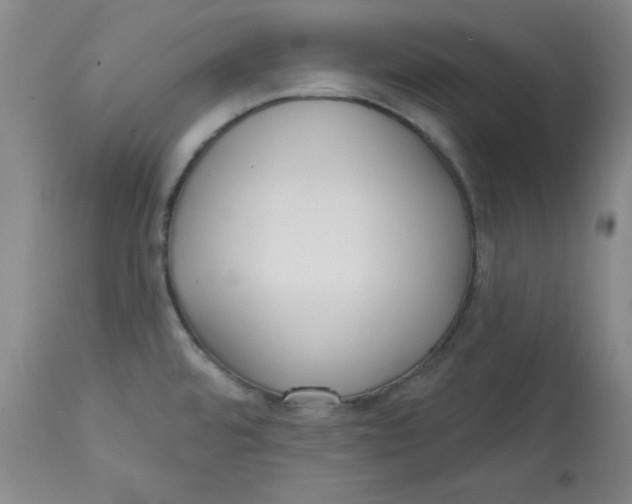 X0000113131480200909251227