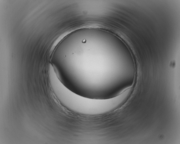 X0000113131481200909251227