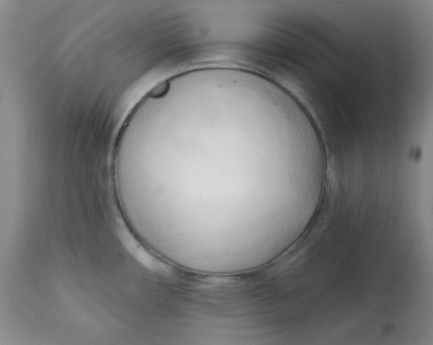 X0000113131482200909251227