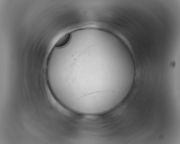 X0000113131483200909251227