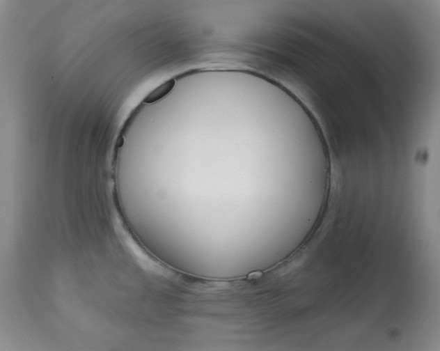 X0000113131485200909251227