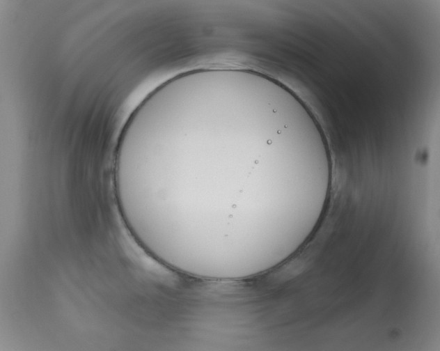 X0000113131486200909251227