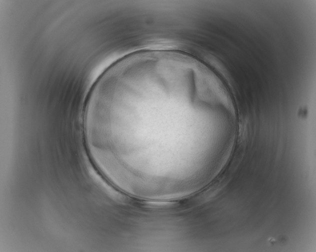 X0000113131487200909251227