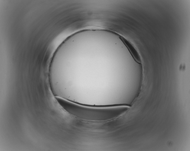 X0000113131488200909251227