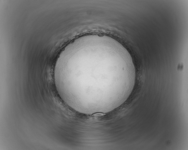 X0000113131490200909251226