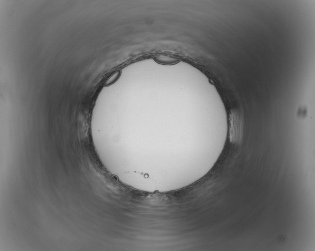 X0000113131491200909251226