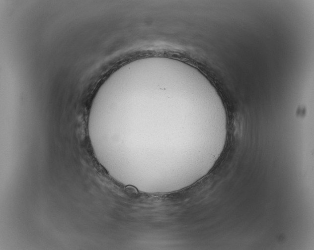 X0000113131493200909251226