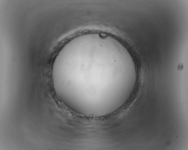 X0000113131494200909251226