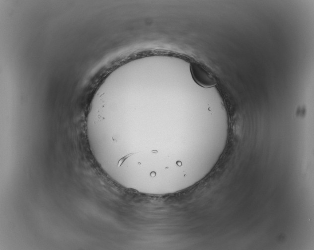 X0000113131495200909251226