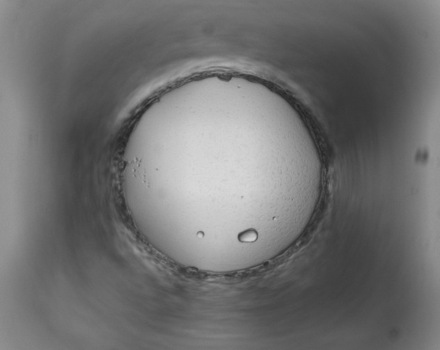 X0000113131496200909251226