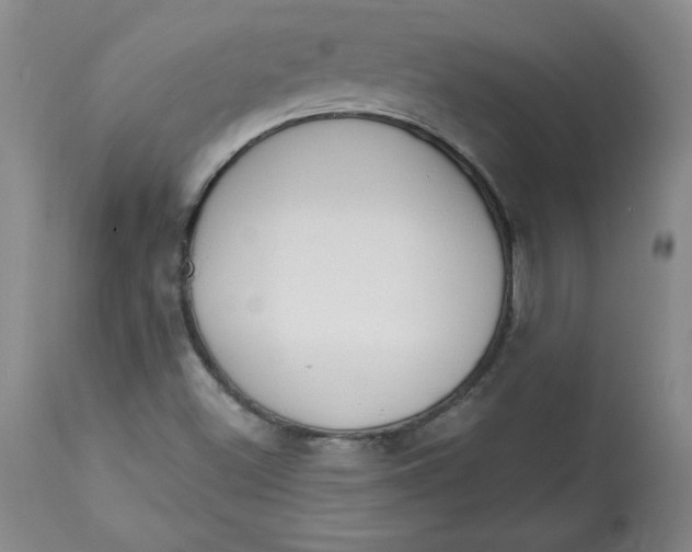 X0000113131500200909251226