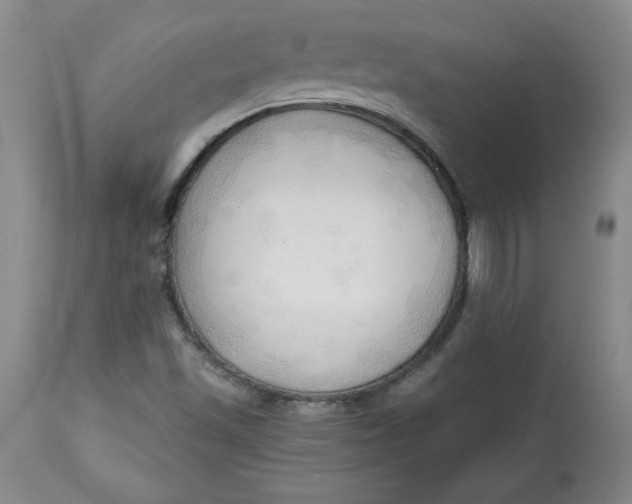 X0000113131501200909251226