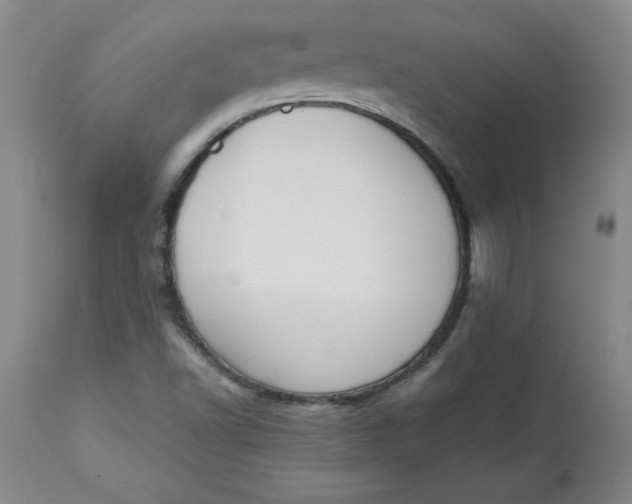 X0000113131502200909251226