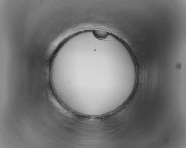 X0000113131503200909251226