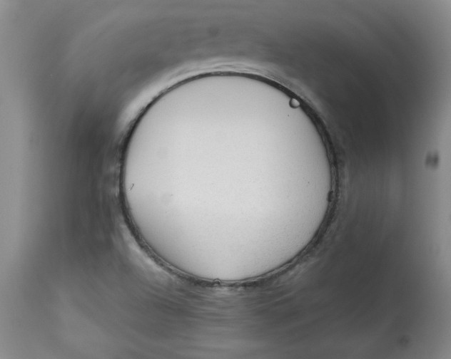 X0000113131504200909251226