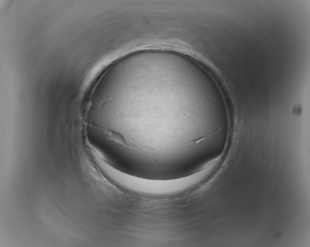 X0000113131506200909251227