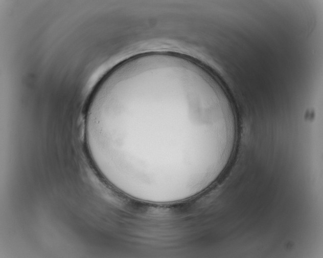 X0000113131509200909251227