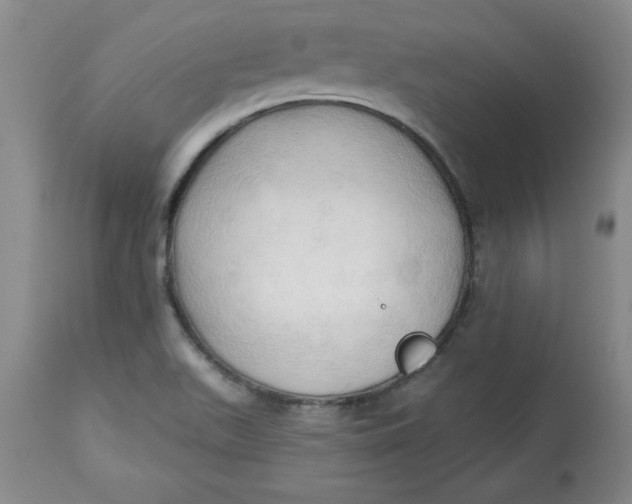 X0000113131511200909251227