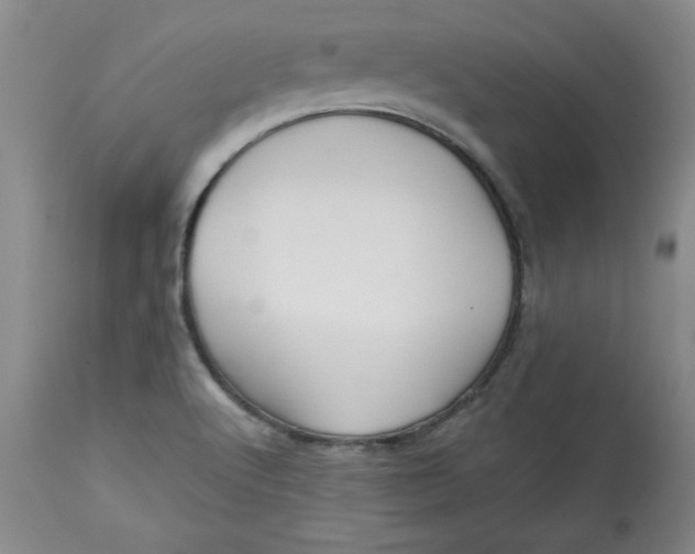 X0000113131512200909251227