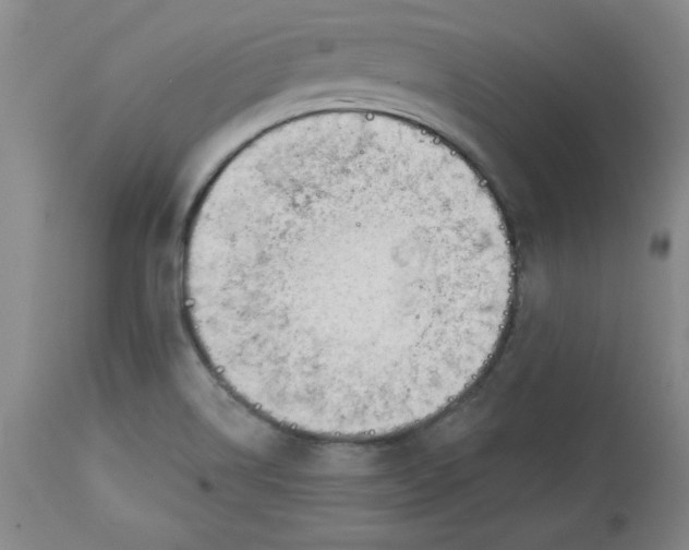 X0000113131514200909251227