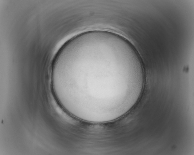 X0000113131515200909251227