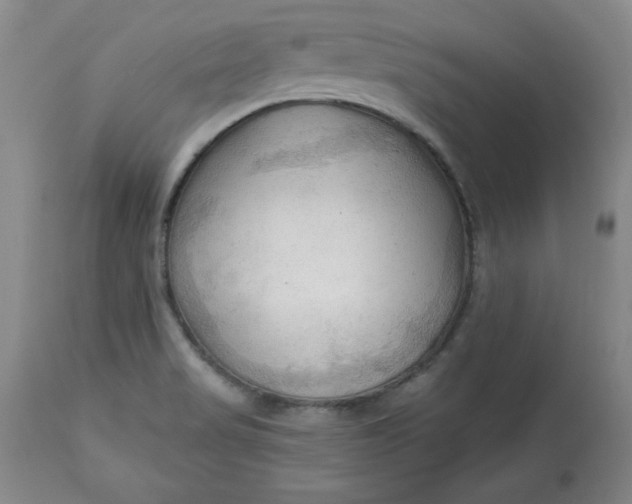 X0000113131517200909251227