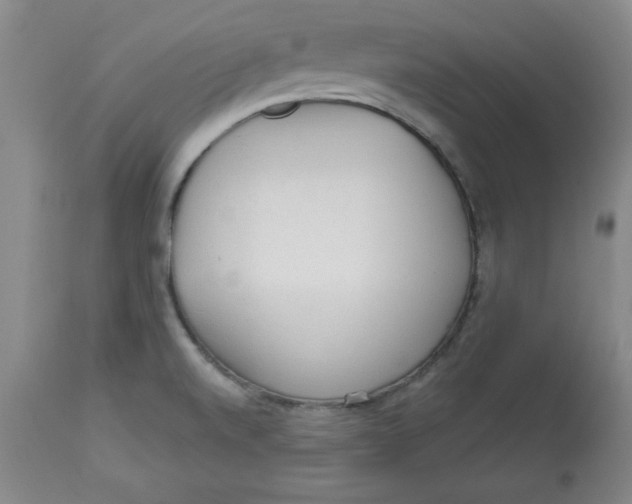 X0000113131520200909251227