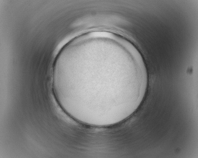 X0000113131522200909251227