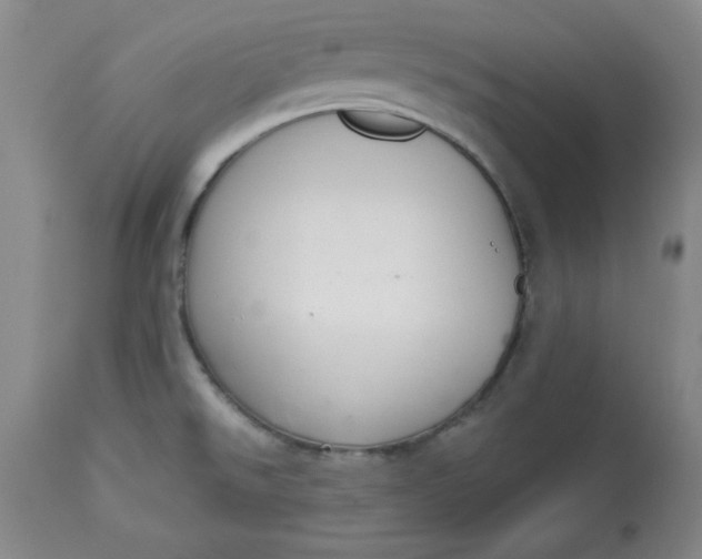 X0000113131526200909251227