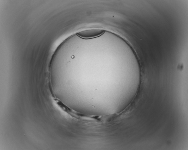 X0000113131527200909251227