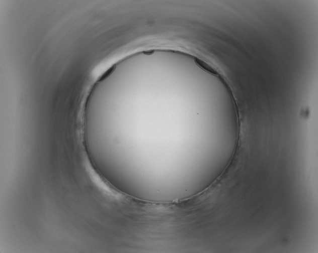 X0000113131528200909251227