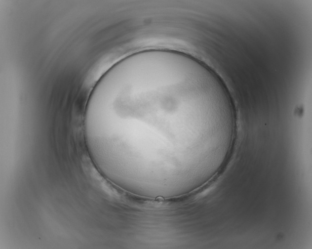 X0000113131529200909251227