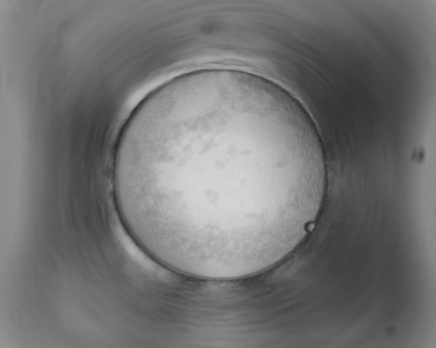 X0000113131531200909251227