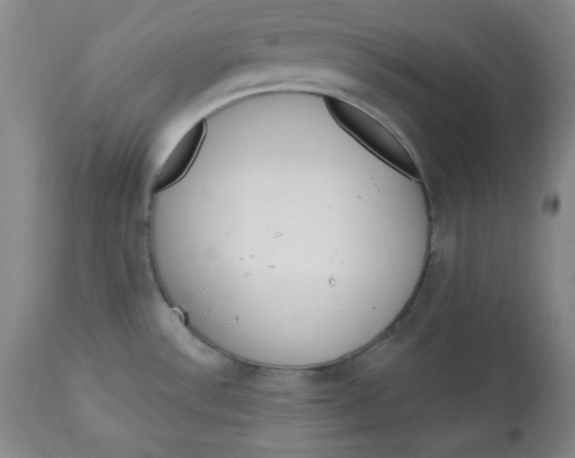 X0000113131532200909251227