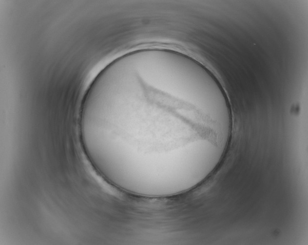 X0000113131533200909251227