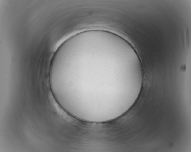 X0000113131534200909251227