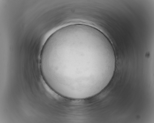 X0000113131535200909251227