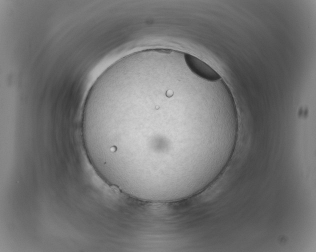 X0000113131536200909251227