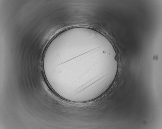 X0000113130002200910021427