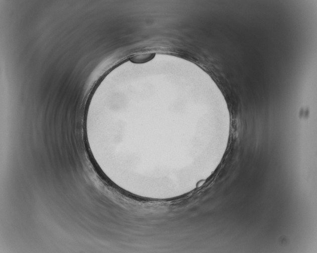 X0000113130004200910021427