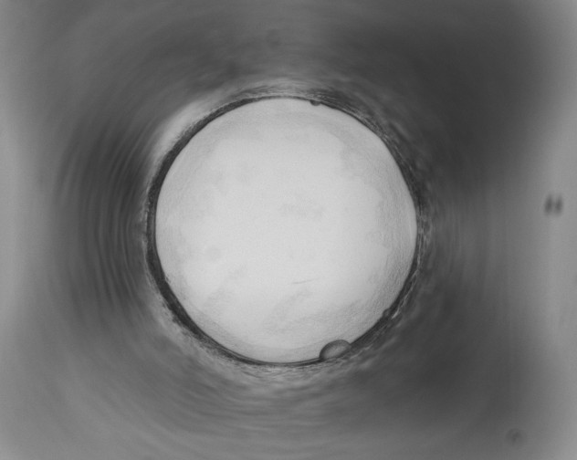 X0000113130006200910021427