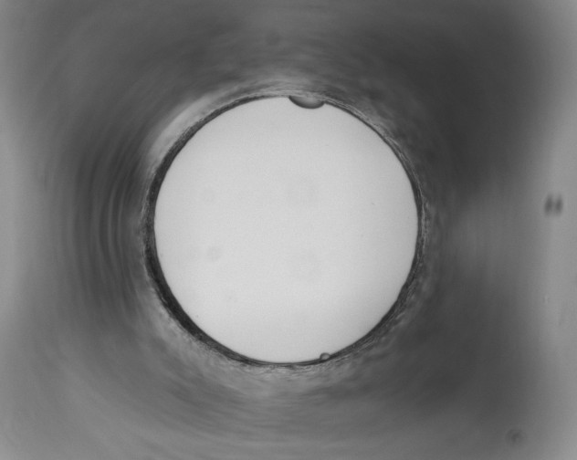 X0000113130007200910021427