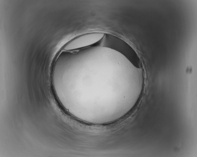 X0000113130008200910021427